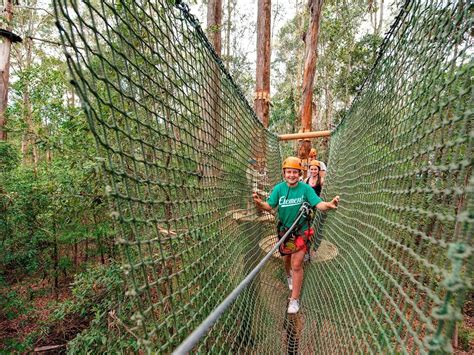 treetops gosford|Central Coast – Wyong Creek